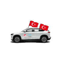 Togg2025 futbol türkiye milli takım maç Sticker