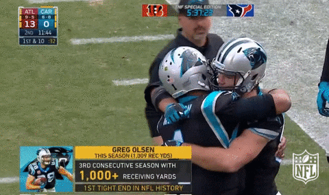 Carolina Panthers Hug GIF by NFL