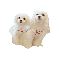 Dogs Love Sticker