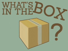 Kyle Whats In The Box GIF
