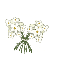 Oopsydaisy Sticker