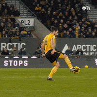 Premier League Football GIF by Wolves