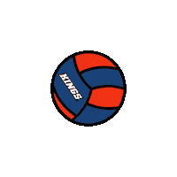 Sport Ball Sticker by Newcastle Kings