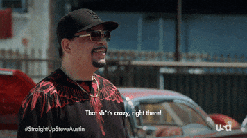 Stone Cold Steve Austin Television GIF by USA Network