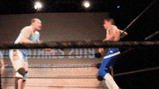 wwe flying GIF by SHWA Wrestling