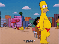 Episode 15 Summer GIF by The Simpsons