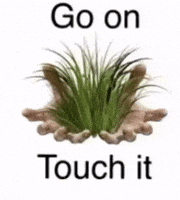 Touch It Go On GIF