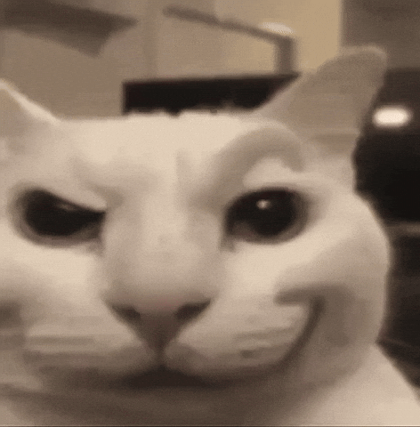 White Cat GIF