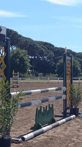 Simongip giphyupload GIF