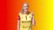Sv Dynamo GIF by Draisma Dynamo
