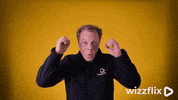 Wizzflix_ wow what yellow good job GIF