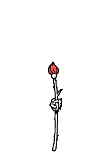 rose yes Sticker by HeyTVM
