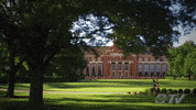 Osu Go Pokes GIF by Oklahoma State University