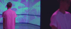 take shelter GIF by Years & Years