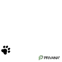 Paws Footsteps Sticker by PRIVANA.COM