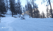 Driving Ford GIF by FIA World Rally Championship