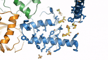 molecular structure brain GIF by Harvard Medical School
