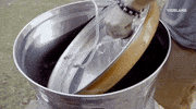 viceland GIF by Bong Appetit