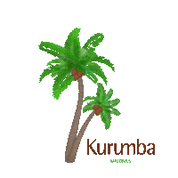 Coconut Tree Summer Sticker by Kurumba Maldives