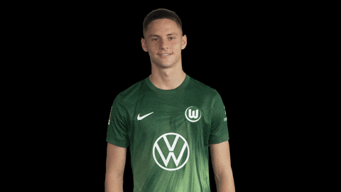 Like A Boss Deal With It GIF by VfL Wolfsburg