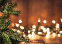 BCGItaly bcg bcg xmas GIF