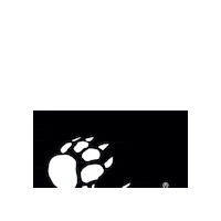 RUPES_spa logo bigfoot polishing car detailing Sticker
