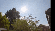 Heart Love GIF by Virginia is for Lovers