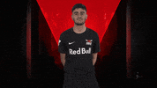Proud Rb Leipzig GIF by Bundesliga