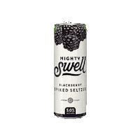 Seltzer Blackberry Sticker by Mighty Swell