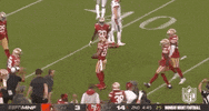 2019 Nfl Football GIF by NFL