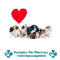 Border Co Sticker by Europeanpetpharmacy