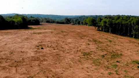 JCPropertyProfessionals giphygifmaker logging drone footage birds flying GIF
