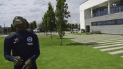 Soccer Futbol GIF by Brighton & Hove Albion Football Club