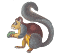 Fall Autumn Sticker by GallicaBnF