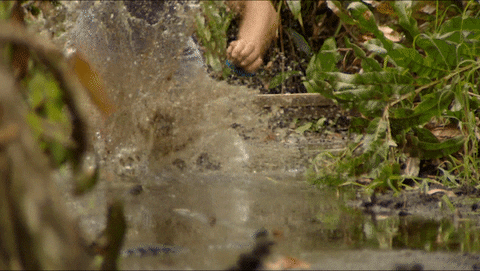 Celebrity Competition GIF by CBS