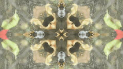 Art Love GIF by jorgemariozuleta