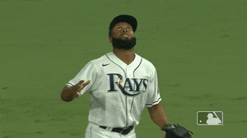 Excited Major League Baseball GIF by MLB