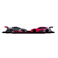 Race Racing Sticker by Igora Drive