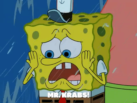 season 6 GIF by SpongeBob SquarePants