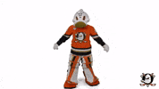 Mighty Ducks Duck GIF by Anaheim Ducks