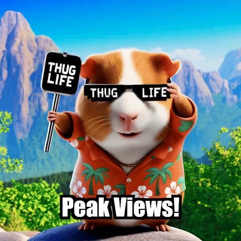 GIF by Guinea Gambino