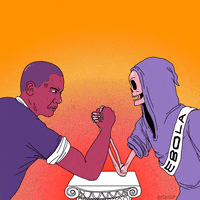 Animation Domination Fox GIF by gifnews