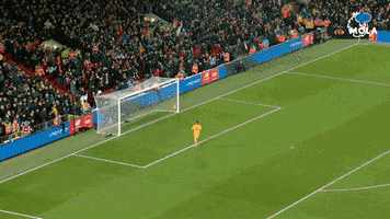 Happy Cristiano Ronaldo GIF by MolaTV