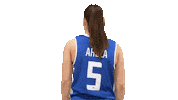 Sport Basketball Sticker by Basket_fi