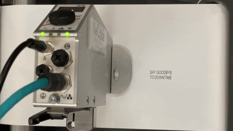 everzocial giphygifmaker GIF