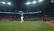 Blue Jays Baseball GIF by Toronto Blue Jays