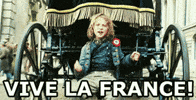 France Bastille GIF