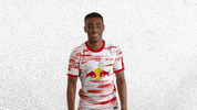 Football Sport GIF by RB Leipzig