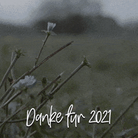 Meat Grow GIF by Grutto.com