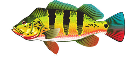 sicredisudoestemtpara giphyupload Sticker